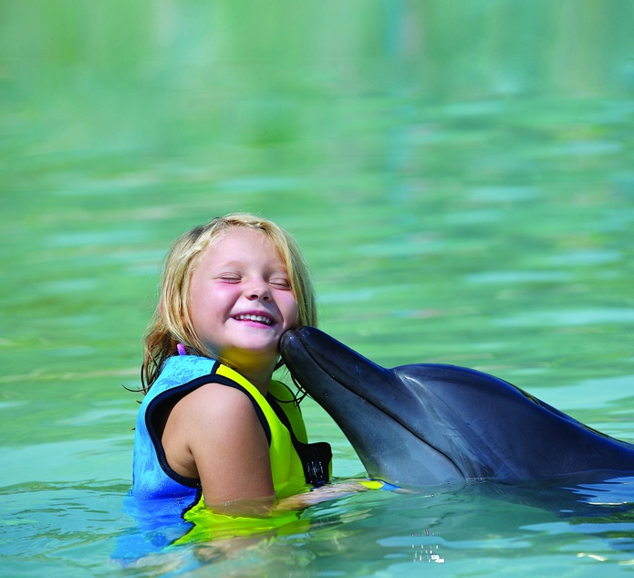 Dolphin kisses a kid